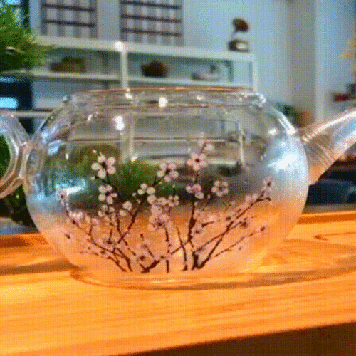 LTZ0151 Color-changing plum glass teacup
