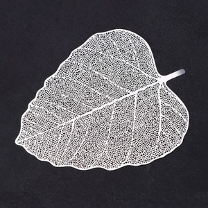Stainless Leaf-type