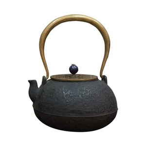 a triad iron kettle